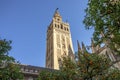 View of Giralda tower of Seville Cathedral of Saint Mary of the See Seville Cathedral  with oranges trees in the foreground Royalty Free Stock Photo