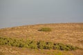 View from Giv`at Hamo`re Nature Reserve. Near Afula, Israel in Western Asia. Royalty Free Stock Photo