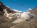 View of a glacier on a high-altitude plateau. An eagle over a glacier