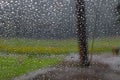 View of glass with water drops. Fluid, condensation. Royalty Free Stock Photo