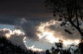 GLOWING LIGHT ON CLOUDS IN SUNSET WITH CONTRASTING FOLIAGE Royalty Free Stock Photo