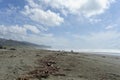 A view of of gold beach along the oregon coast highway, a picturesque beach framed by boulders and driftwood.