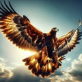 A view of a Golden eagle in flight Royalty Free Stock Photo