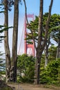 View of Golden Gate Bridge framed by trees at Presidio Park