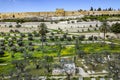 View of the Golden Gate of the walls of the old city of from the Mount of Olives Royalty Free Stock Photo