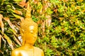 View of the golden statue of Buddha in Louangphabang, Laos. Close-up. Royalty Free Stock Photo