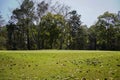 View of Golf Course with beautiful putting green. Golf course with a rich green turf beautiful scenery Royalty Free Stock Photo