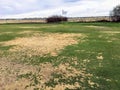 A view of a golf green in very poor condition with large areas of dead grass.