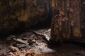 Gomantong Cave in Sabah, Malaysia