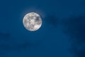 Gorgeous full moon in a dark blue night sky gets covered by soft wispy dark clouds Royalty Free Stock Photo