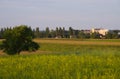 View From Goricko Hills, Prekmurje, Slovenia Royalty Free Stock Photo