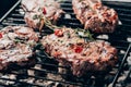 View of gourmet juicy meat cooking on grill Royalty Free Stock Photo