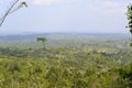 View on Gran parque natural Topes de Collantes national park in Cuba Royalty Free Stock Photo