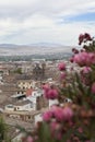 Granada cityscape with the cathedral Royalty Free Stock Photo