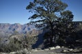 View of the Grand Canyon as Seen from a Scenic View Point on the HermitÃ¢â¬â¢s Rest Bus Line on a Bright, Clear Autumn Afternoo Royalty Free Stock Photo
