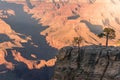 View of Grand Canyon National Park Royalty Free Stock Photo