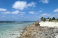 Grand Cayman Island Rocky Shore Royalty Free Stock Photo