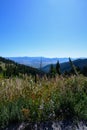 Grand Tetons Wyoming Royalty Free Stock Photo