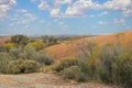 View from the granite inselberg Wave Rock with yellow flowering wattle bushes growing in the sinks near Hyden, Western Australia