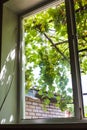 View of grape bunches on patio through home window Royalty Free Stock Photo