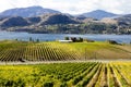 Okanagan Falls Skaha Lake Vineyard Royalty Free Stock Photo