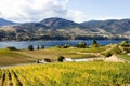 Okanagan Falls Skaha Lake Vineyard Royalty Free Stock Photo