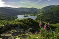 View of Grasmere from Loughrigg Fell