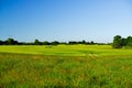 View of the grass field before trees under the blue skyline Royalty Free Stock Photo