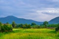 View of grass green field, trees, bushes and Tuscany hills and mountains with beautiful cloudy sky background Royalty Free Stock Photo