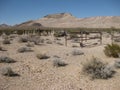 View of Graves in Bullfrog Rhyolite Cemetery, Nevada Desert Royalty Free Stock Photo