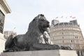 view of great lion sculpture in london square uk Royalty Free Stock Photo