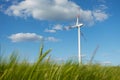 View of a green barley field with the wind turbine Royalty Free Stock Photo