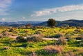 View on green biblical landscape and Archaeological Ruins Beit Guvrin Maresha during winter time, Israel Royalty Free Stock Photo