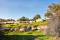 View on green biblical landscape and Archaeological Ruins Beit Guvrin Maresha during winter time, Israel Royalty Free Stock Photo