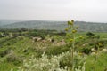 View on green biblical landscape Beit Guvrin Maresha during winter time, Israel Royalty Free Stock Photo