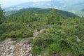 View of the green Carpathian mountains. On the way to Mount Hoverla, the highest point in Ukraine.