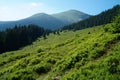 View of the green Carpathian mountains. On the way to Mount Hoverla, the highest point in Ukraine.