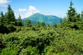 View of the green Carpathian mountains. On the way to Mount Hoverla, the highest point in Ukraine.