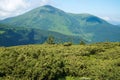 View of the green Carpathian mountains. On the way to Mount Hoverla, the highest point in Ukraine.