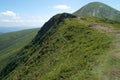 View of the green Carpathian mountains. On the way to Mount Hoverla, the highest point in Ukraine.