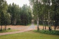 View of green empty park with birches during springtime Royalty Free Stock Photo