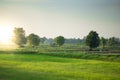 View of green field with sun flare in countryside of Thailand