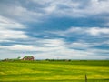 View of green field with yellow flowers and a house Royalty Free Stock Photo