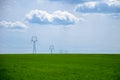 View of a green field of young grain with a power pole under a blue sky Royalty Free Stock Photo