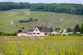 View on green grand cru champagne vineyards near villages Avize and Oger, CÃÂ´te des Blancs area, Champange, France