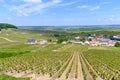 View on green grand cru champagne vineyards near villages Cramant CÃÂ´te des Blancs area, Champange, France