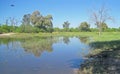 POOLED RAINWATER IN AFRICAN WILDERNESS Royalty Free Stock Photo