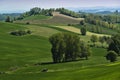 View on hills with cultivated vineyards and woods