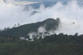 View of green hills and trees.