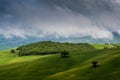 view of the green hills of Tuscany, Royalty Free Stock Photo